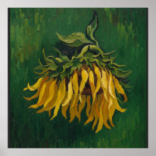 Eine Sonnenblume nach Van Gogh Poster