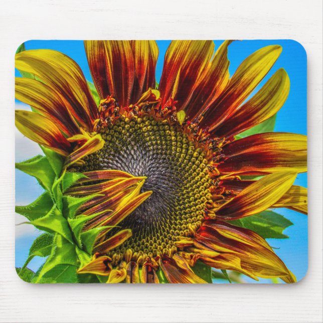 Eine Sonnenblumenmaus Mousepad (Vorne)
