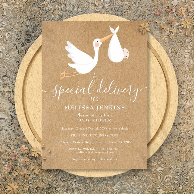 Eine spezielle Baby-Dusche / Sprinkle Einladung (A Special Delivery Stork Baby Shower Sprinkle Invitation)