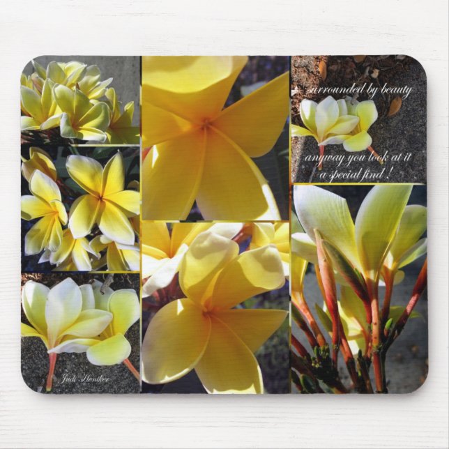 Eine spezielle Entdeckung Mousepad (Vorne)