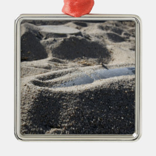 Eine statische Anzeige einer Muschel zur Kampfmitt Ornament Aus Metall