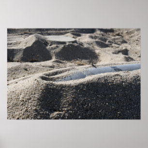 Eine statische Anzeige einer Muschel zur Kampfmitt Poster