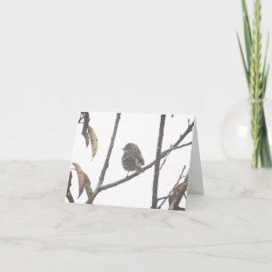 Eine stille Minute, nur für Sie Notizkarten Dankeskarte