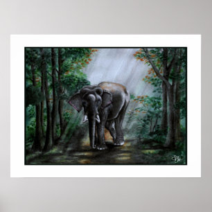 Eine Stimme für die Wildnis Poster