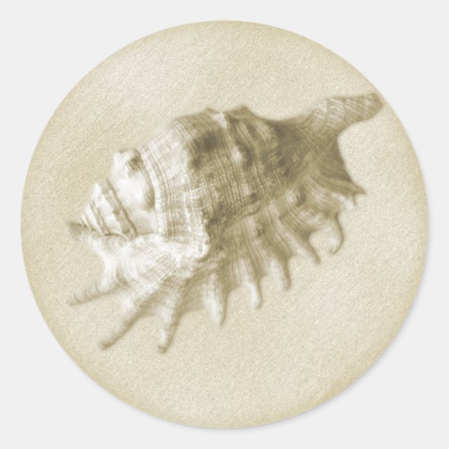 Eine Strandhochzeit-Seashell-Aufkleber (Gold) Runder Aufkleber (Vorderseite)