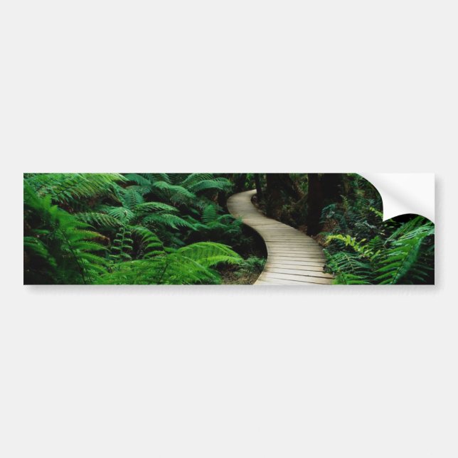 Eine Straße mitten in dem wilden Wald Autoaufkleber (Vorne)