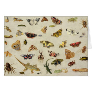 Eine Studie der Insekten