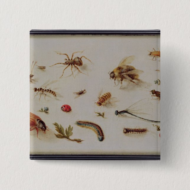 Eine Studie der Insekten Button (Vorderseite)