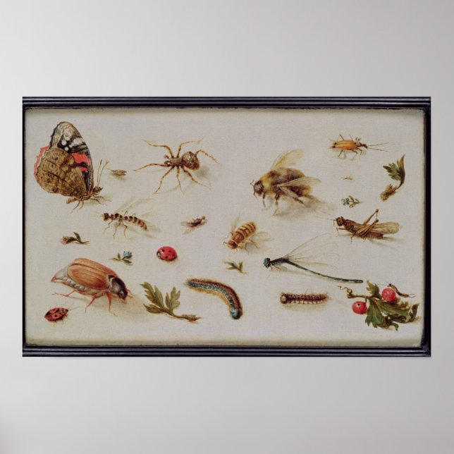 Eine Studie über Insekten Poster (Vorne)
