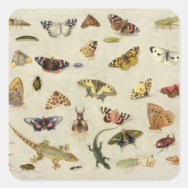 Eine Studie über Insekten Quadratischer Aufkleber (Vorderseite)