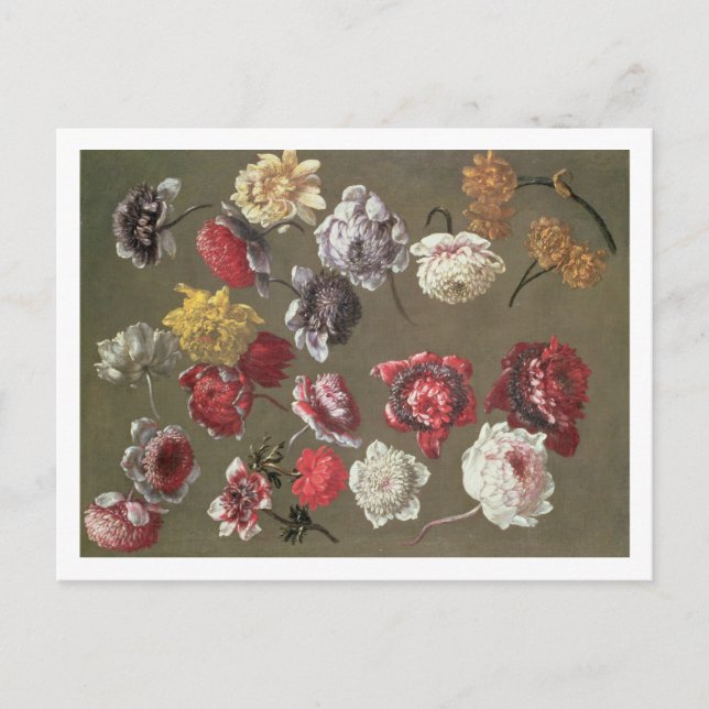 Eine Studie über Peonies (Erdöl auf Leinwand) Postkarte (Vorderseite)