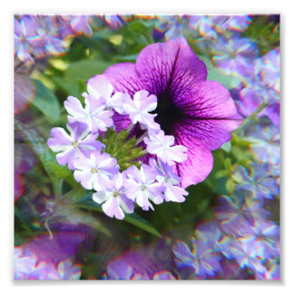 Eine Summer Blume Bouquet Print Fotodruck