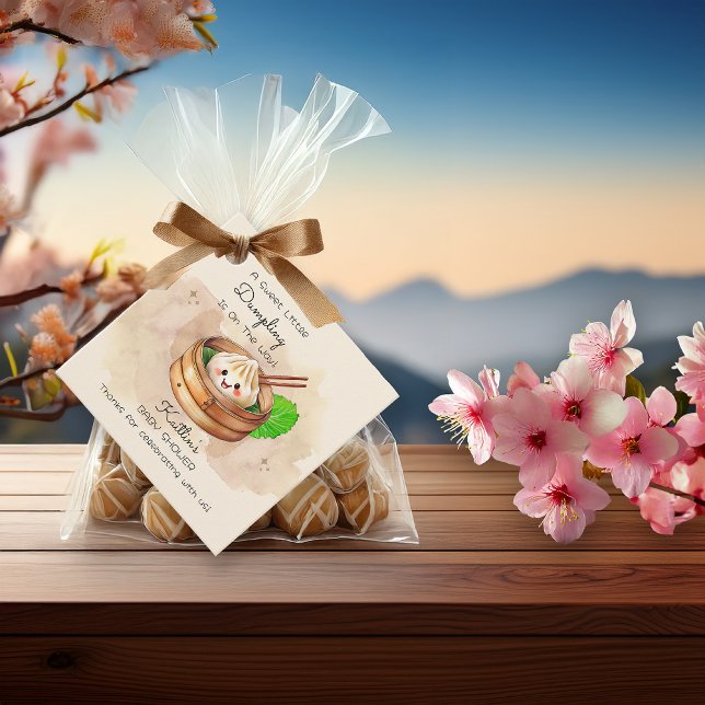 Eine süße kleine dumme Kwai Theme Babydusche Geschenkanhänger (A Sweet Little Dumpling Kwai Theme Baby Shower Square Favor Tags)
