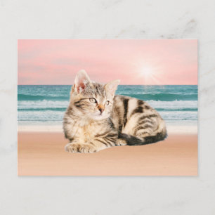 Eine süßere gestreifte Katze sitzt am Strand bei S Postkarte