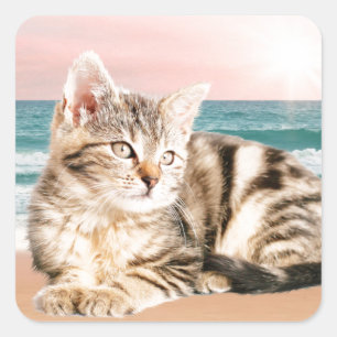 Eine süßere gestreifte Katze sitzt am Strand bei S Quadratischer Aufkleber