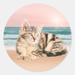 Eine süßere gestreifte Katze sitzt am Strand bei S Runder Aufkleber