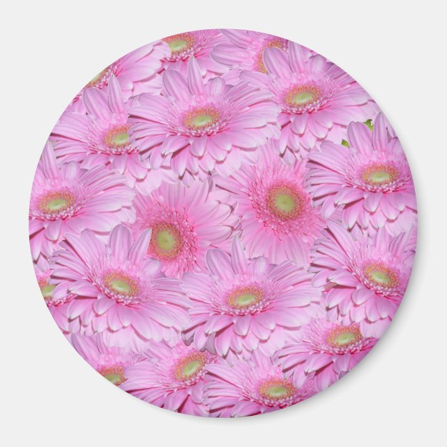 Eine Symphonie der rosa Gerberas, Magnet (Vorne)