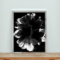 Eine Symphonie in monochromen Schatten und Licht