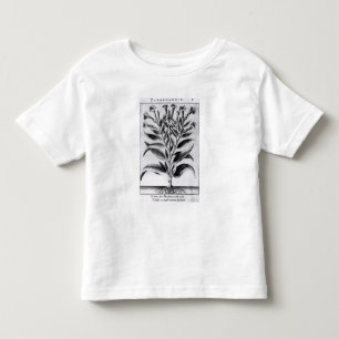 Eine Tabak-Pflanze, 1622 Kleinkind T-shirt