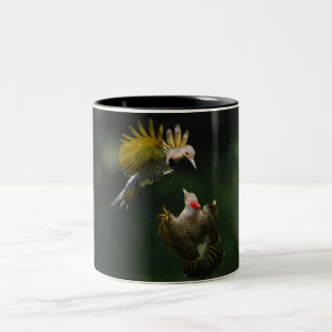 Eine Tasse des Nordflackers-Kaffees