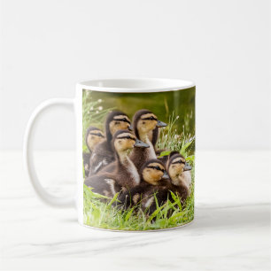 Eine Tasse von Entenlingen