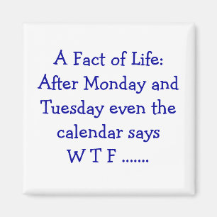 Eine Tatsache des Lebens - Magnet