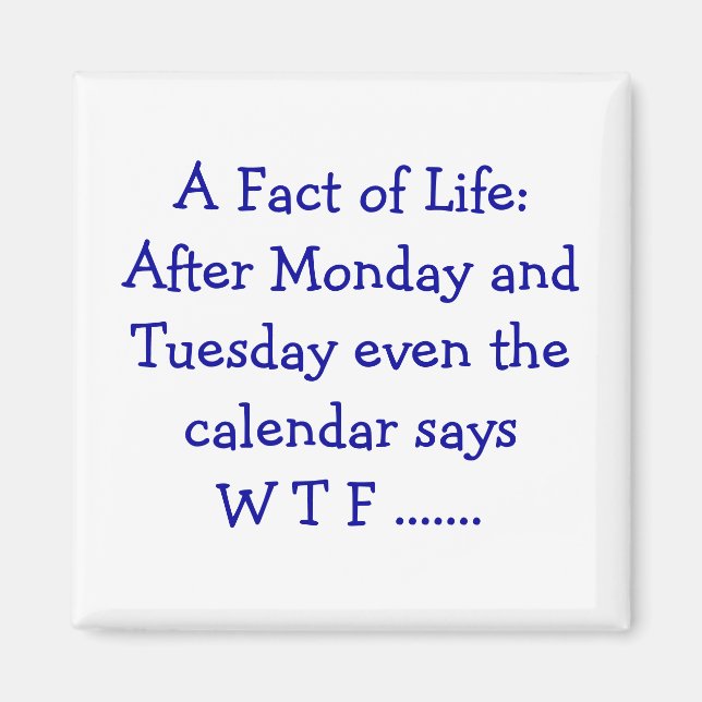 Eine Tatsache des Lebens - Magnet (Vorne)