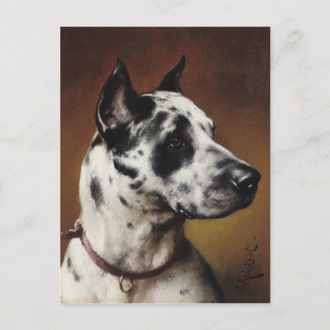 Eine tolle Postkarte (Vorderseite)