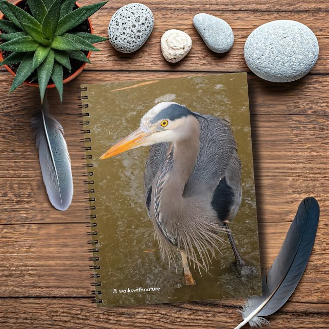 Eine Top-Down-Sicht auf einen blauen Helden Notizblock (Top-Down View of a Great Blue Heron Journal Cover Photo)