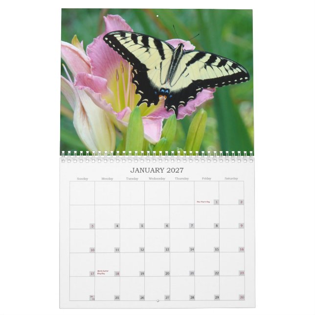 Eine Touch der Sun-Taglilien Kalender (Jan 2027)