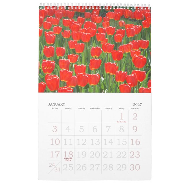 eine Touch des Rotes für 2013 Kalender (Jan 2027)