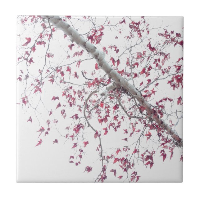 Eine Touch rosa Blätter Fliese (Vorderseite)