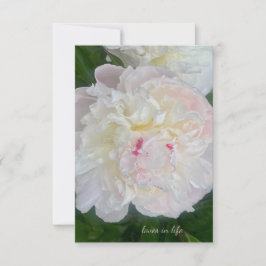 Eine traumhafte Blush Peony Mitteilungskarte