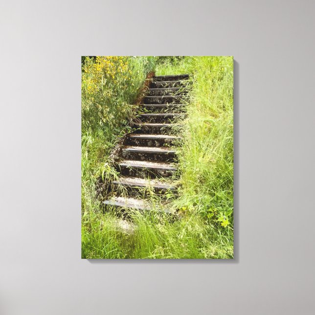 Eine Treppe im Gras Leinwanddruck (Vorderseite)