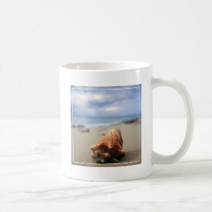 Eine Tritonshorn-Muschel auf dem St. Croix, Usvi Kaffeetasse
