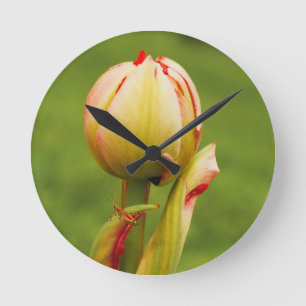 Eine Tulpenknospe Runde Wanduhr