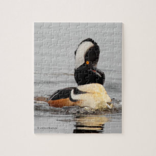 Eine überraschend gehobene Merganser-Duck Puzzle