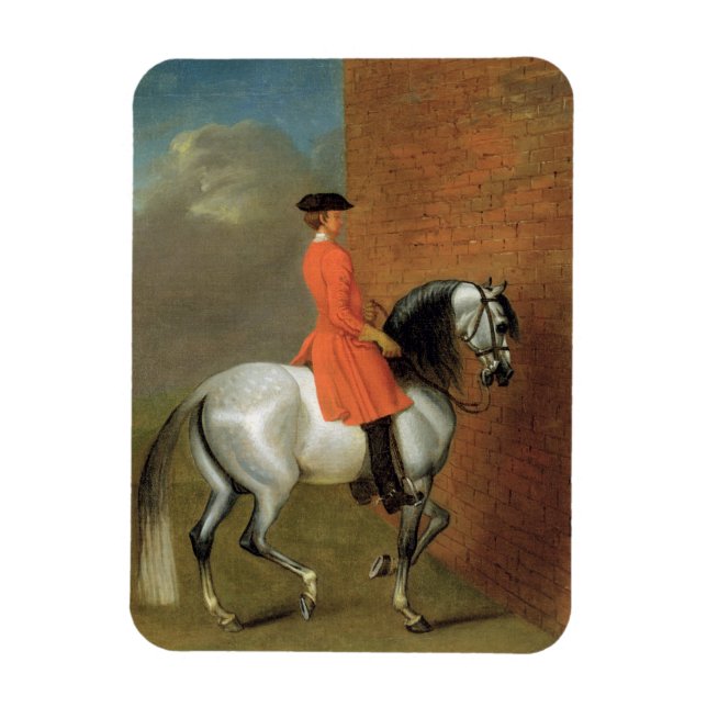 Eine Übung in Haute Ecole: Der Weg zum Lef Magnet (Vertikal)