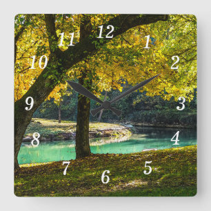 Eine Uhr an der Wand unter dem Schattenbaum