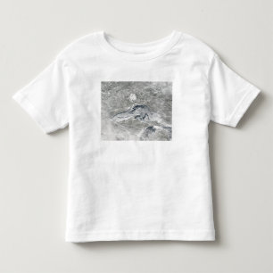 Eine verhältnismäßig seltene Decke des Eises Kleinkind T-shirt