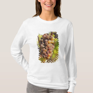 Eine verschimmelte Semillon-Traube in Ch Raymond L T-Shirt