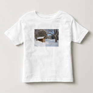 Eine verschneite Szene am Little Lyford Pond des A Kleinkind T-shirt
