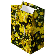 Eine Vielzahl gelber Mums