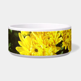 Eine Vielzahl gelber Mums Napf