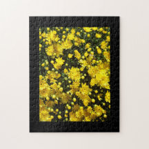 Eine Vielzahl gelber Mums