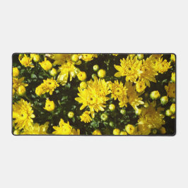 Eine Vielzahl gelber Mums Schreibtischunterlage