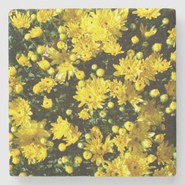 Eine Vielzahl gelber Mums Steinuntersetzer