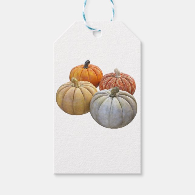 Eine Vielzahl von Pumpkins Geschenkanhänger (Vorderseite)