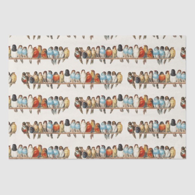 Eine Vintage Illustration über Vögel, 1880 Seidenpapier (Vorderseite)