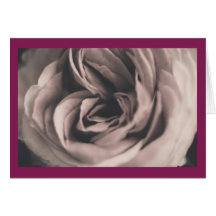 Eine Vintage Rose